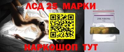 кокс Донской