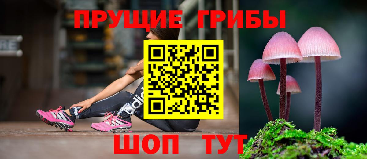 Псилоцибиновые грибы GOLDEN TEACHER  Вход с VPN  Муром 