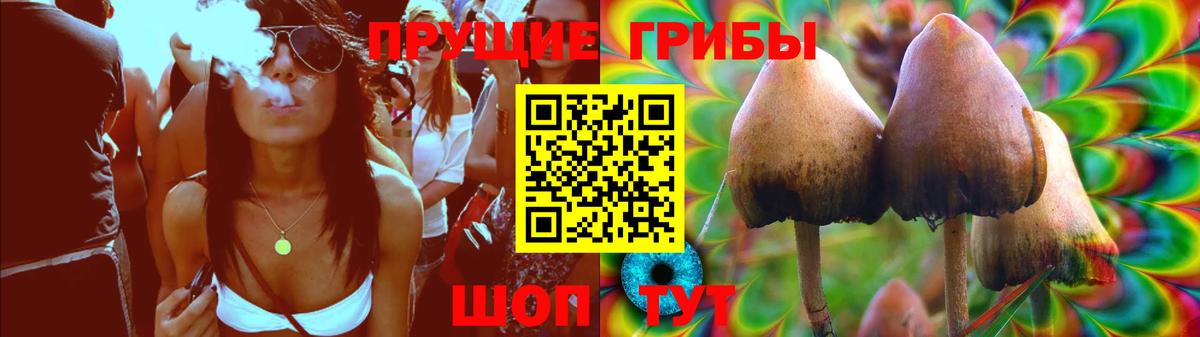 Галлюциногенные грибы Cubensis Муром